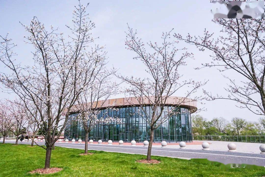 创办师范传习所东风二月春如海 开遍一山桃杏花乾隆微服江南赐官溪往