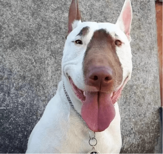 事实证明小时候越好看长大越磕碜