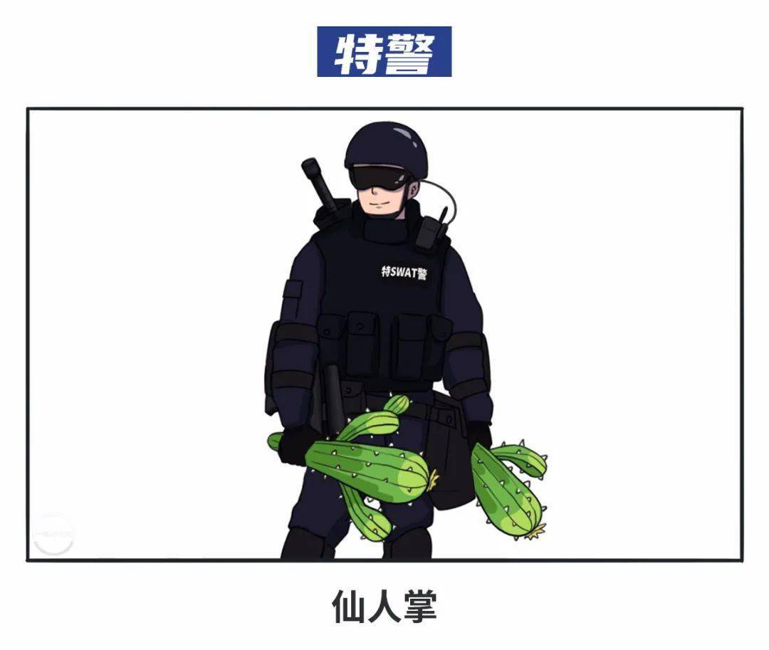 来源|如果每一类警察都是一种花，那你是什么花？