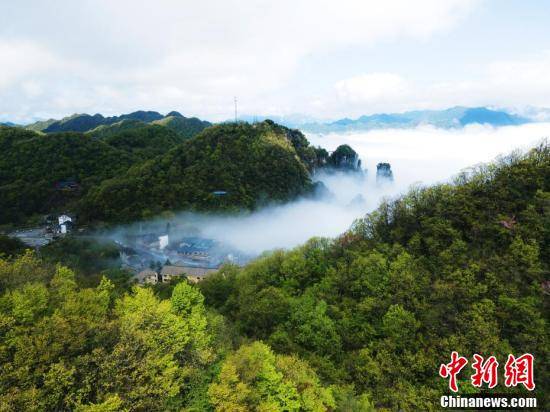 春光|湖北五峰现“半峡谷半云海”美景