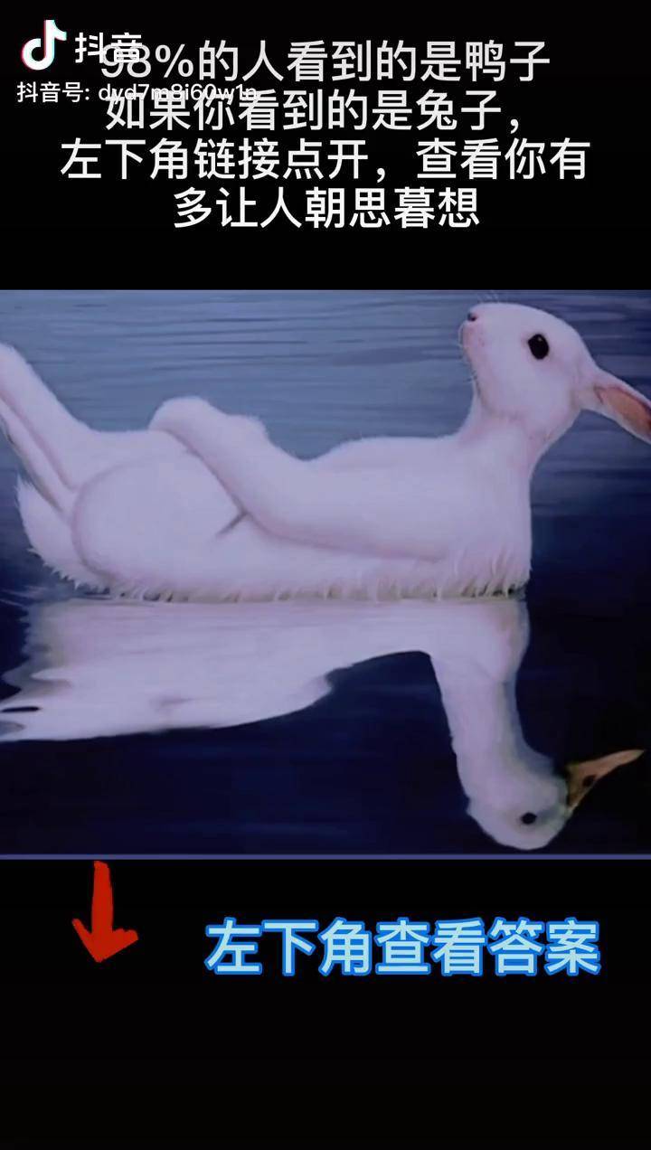 测试你有多让人朝思暮想,测一测爱情恋情_测试_鸭子_兔子