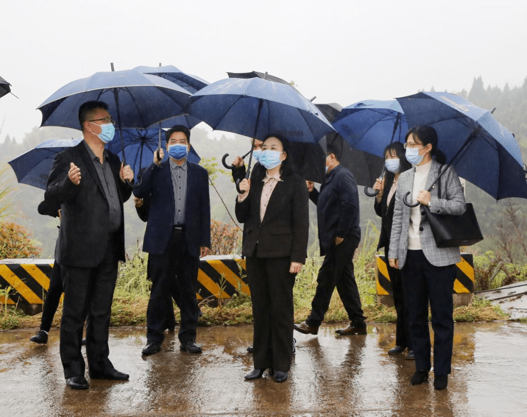 大足区人大常委会专题调研城市生活垃圾分类工作