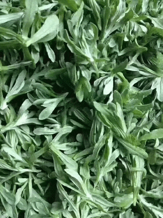 纯手工制作,软糯飘香~_平阳_棉菜_青街