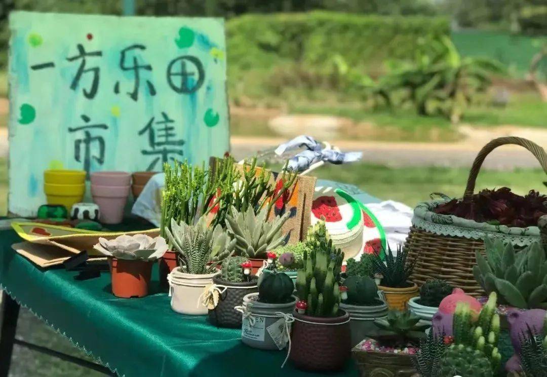 一起前往農莊綠野體驗廣州現實版嚮往的生活