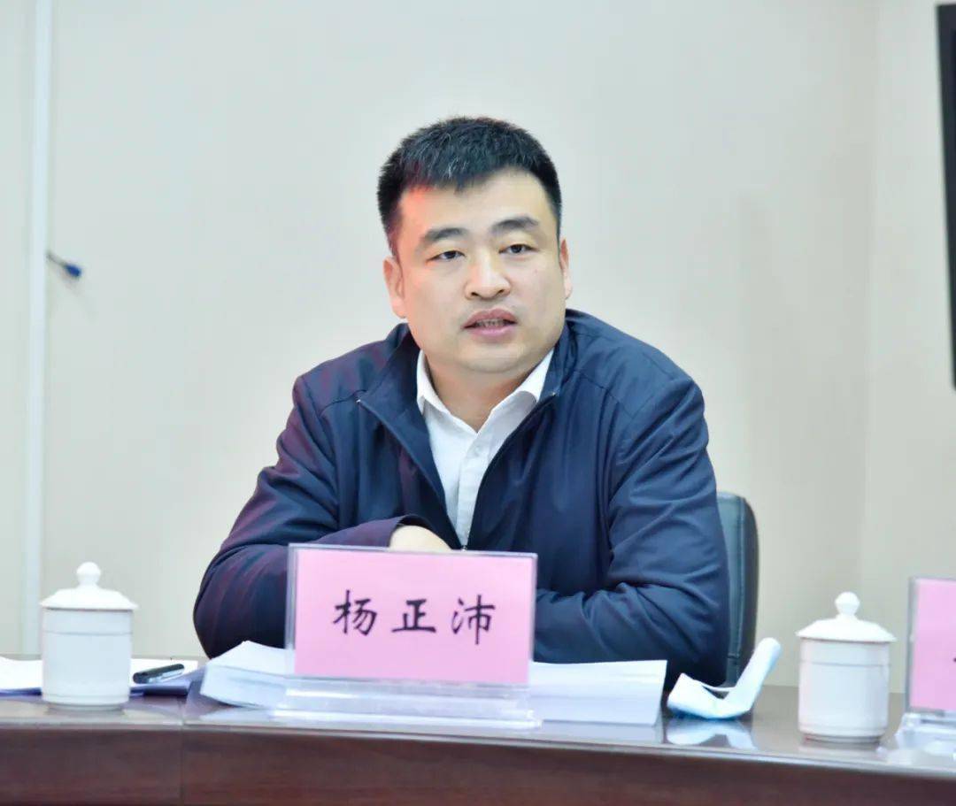 区长杨正沛出席会议并讲话会议要求,要进一步完善时间表和任务清单