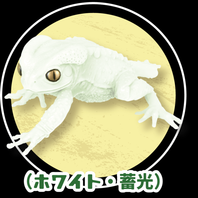 Frog|模玩资讯：SO-TA 拟真生物第四弹 1/1 散疣短头蛙&蜡白猴树蛙扭蛋