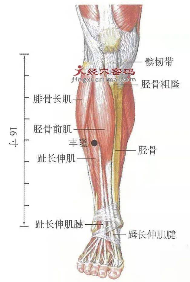 身上有個水龍頭只要打開身上的病痛都會慢慢被沖走