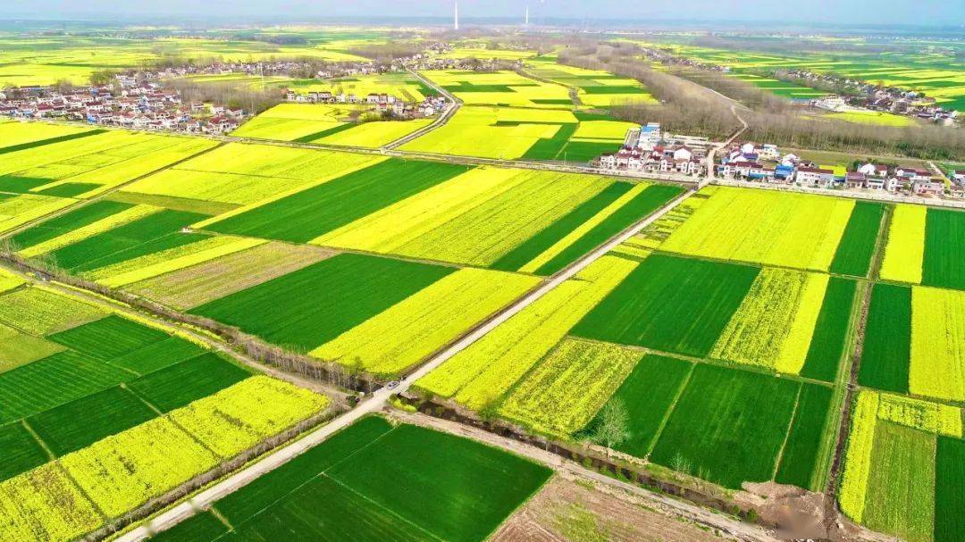 不负宜城好春光安庆田长在田头丨大观区田长制为乡村振兴注入生态动能