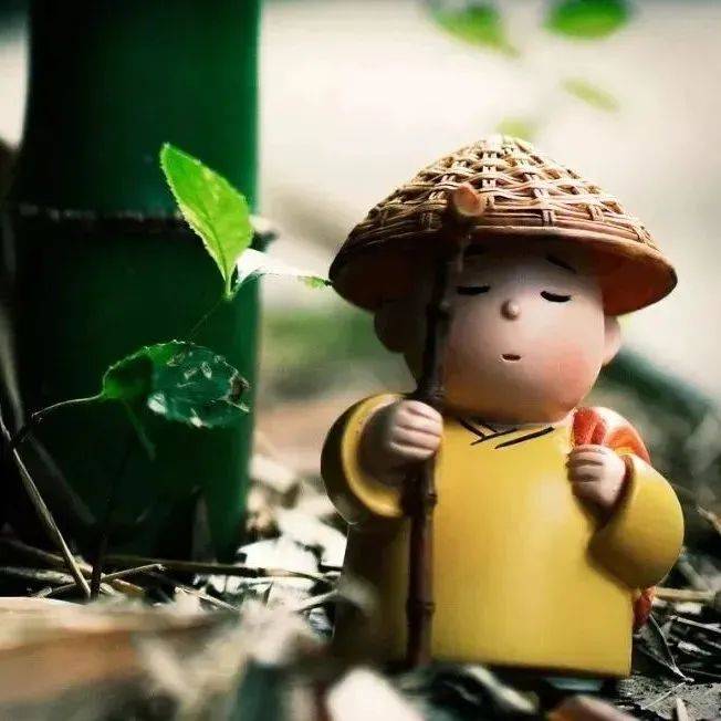放下一个人最好的方式,不是断联,而是做到“三不”_感情_对方_心生