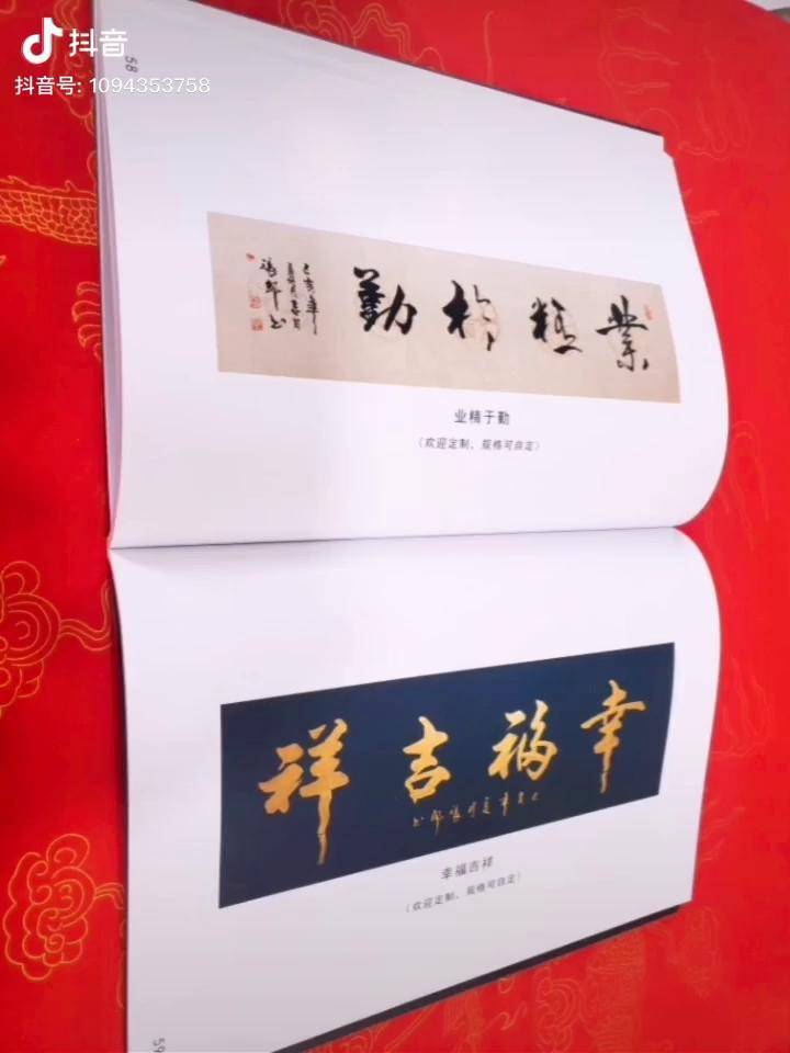 张郎书法作品集收藏了张郎老师百幅书法作品字体风格变化形式多样头版