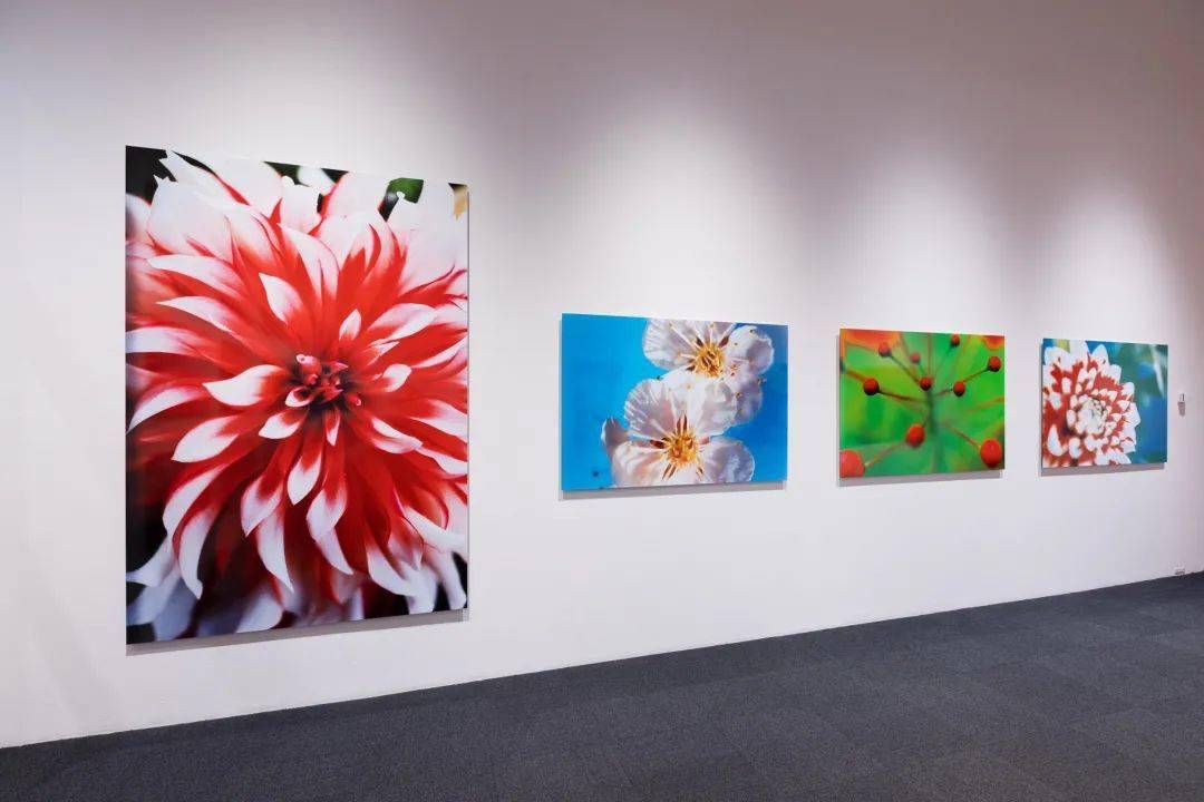 蜷川实花个展开幕带你走进虚构与现实之间的花花世界