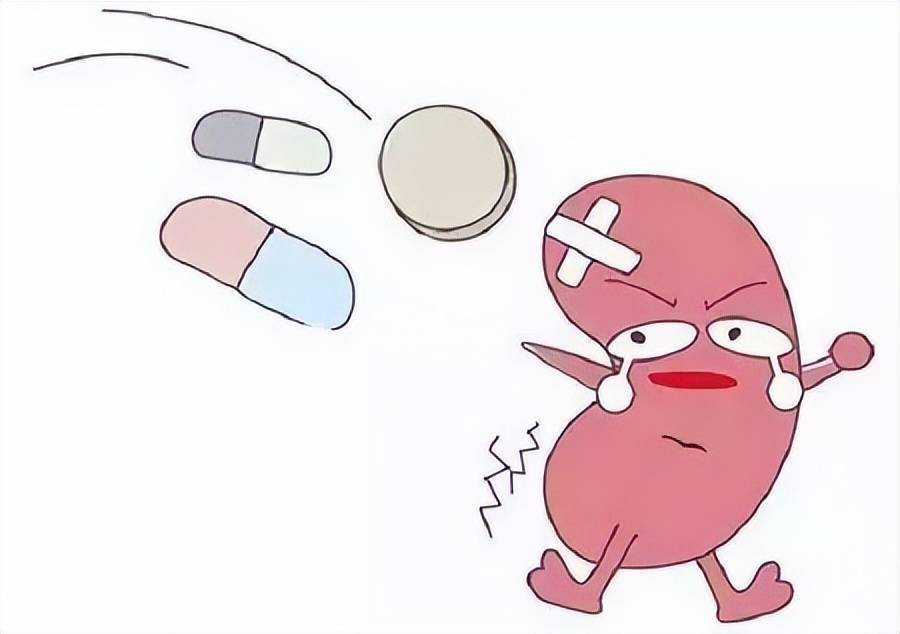 哪些药物具有肾毒性