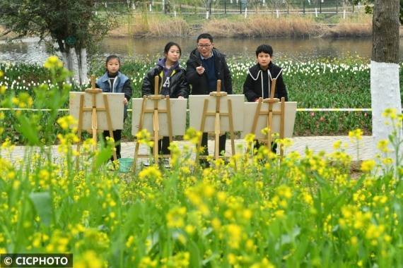 浙江省台州市|走进花海画春天