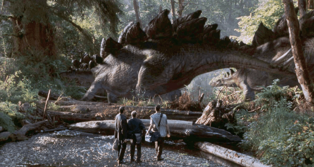 重返侏罗纪北加绝美峡谷ferncanyon今夏需提前预约