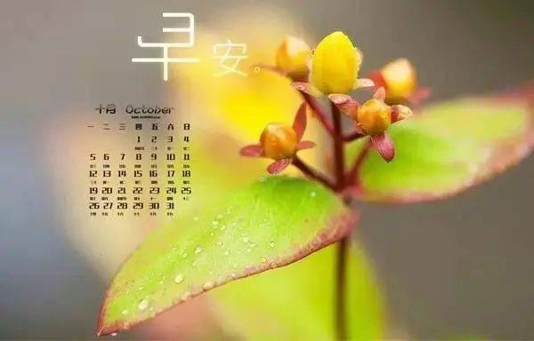 微信早安心语感悟人生的心灵禅语