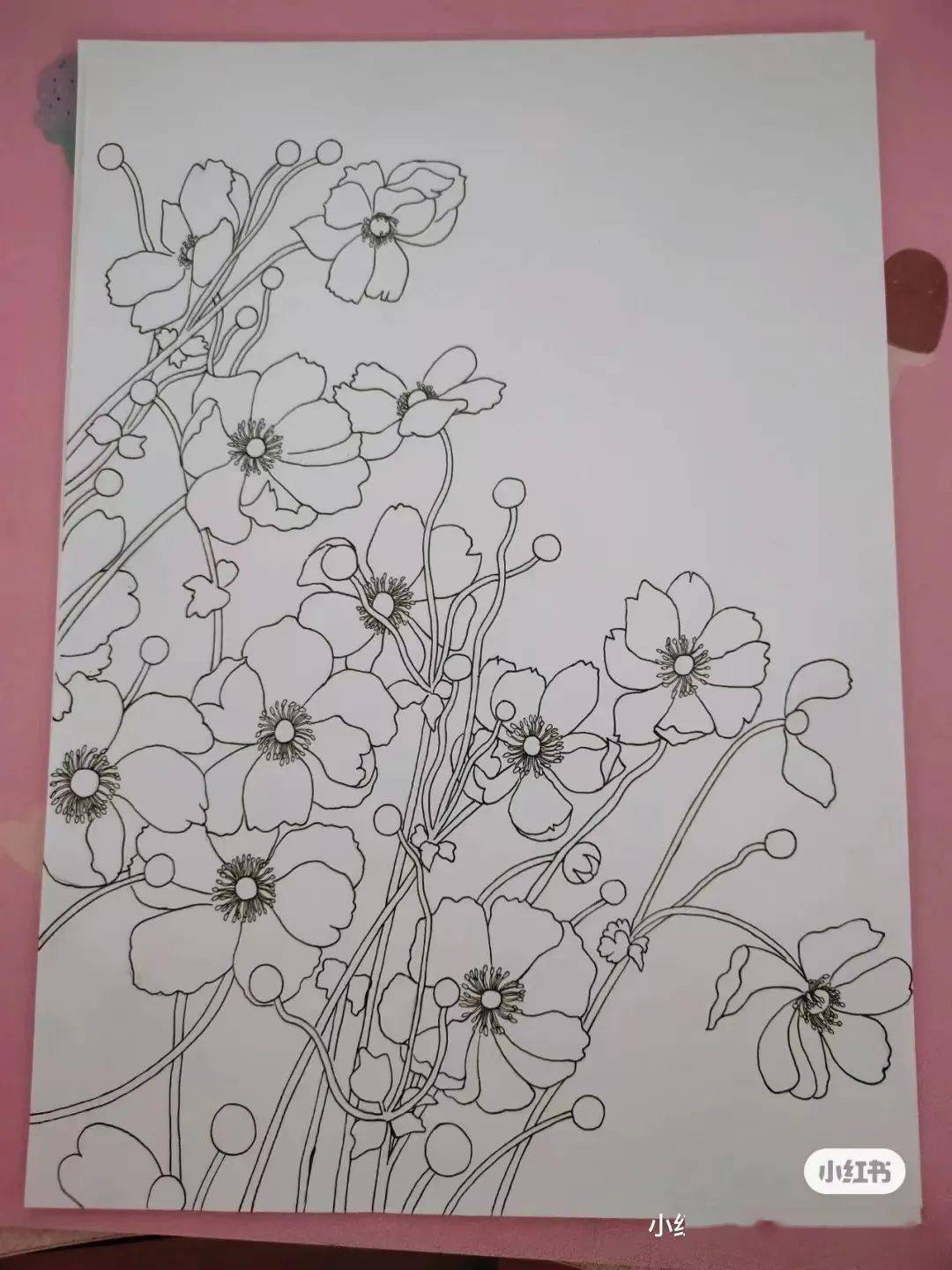 没猜错的话这一定是格桑花最美不过是绣球花画花怎么少的了绣球花绣球