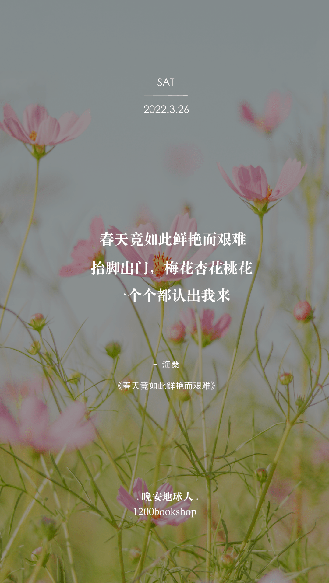 3月26日 晚安地球人 杏花 梅花 桃花