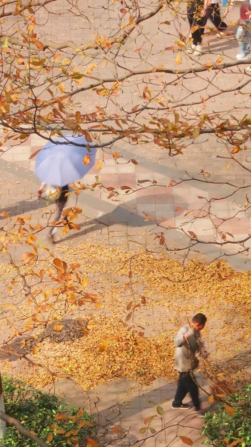 photo服气！豆瓣上的「民间摄影大神」太会拍了！