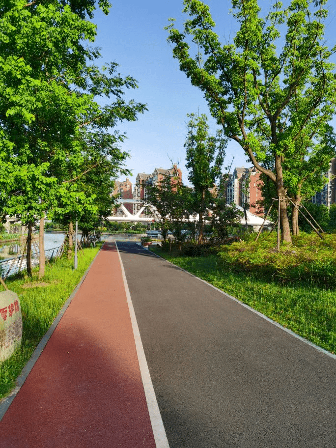 春日裡的長島公園長島公園地點:青浦區勝利路毛河涇路(漕盈路地鐵站