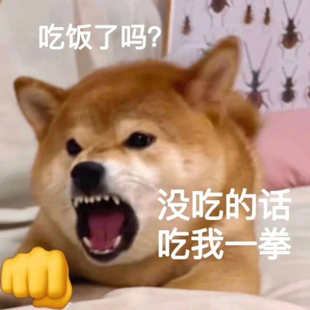 微信怼人表情包 为什么凶我_头像_壁纸_一拳