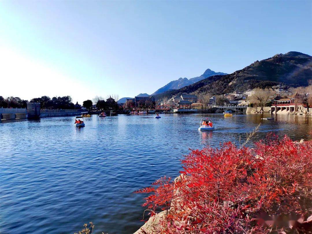 阳春三月泰山春花竞相开放点缀春日盛景