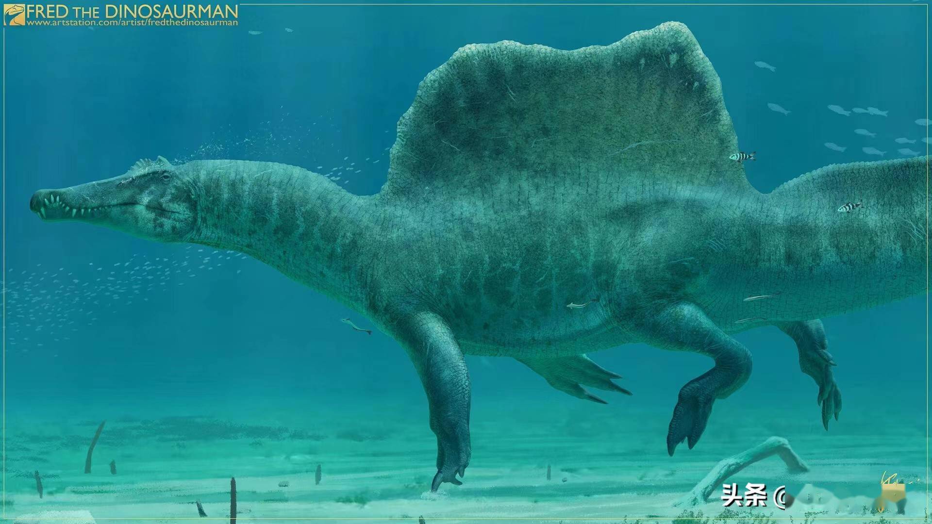 古生物学家发布棘龙潜水的又一证据