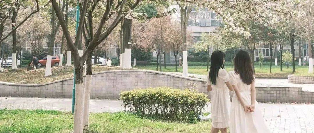 深入剖析校花事件