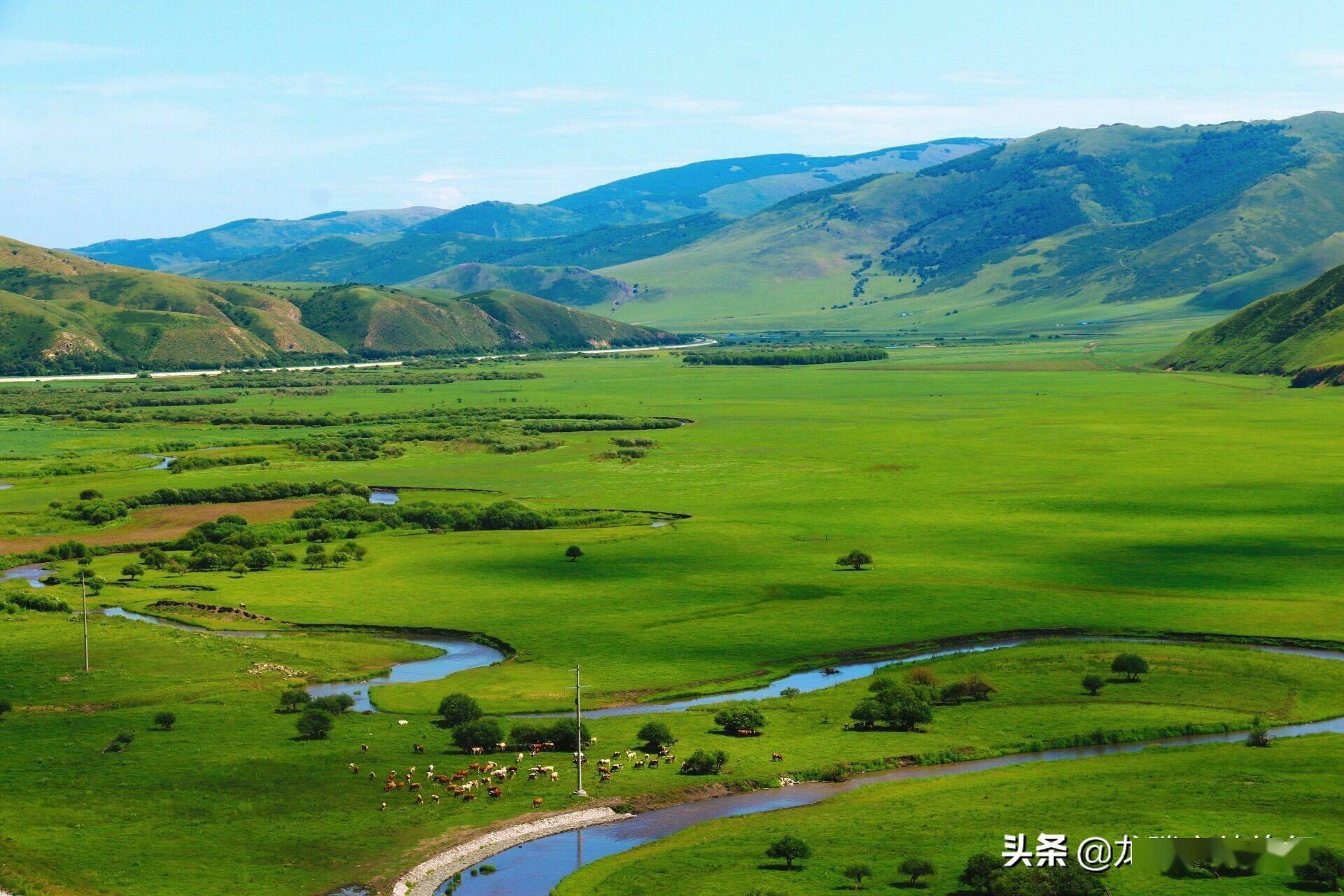 科尔沁草原科尔沁草原位于内蒙古东部,在松辽平原西北端,兴安盟和通辽