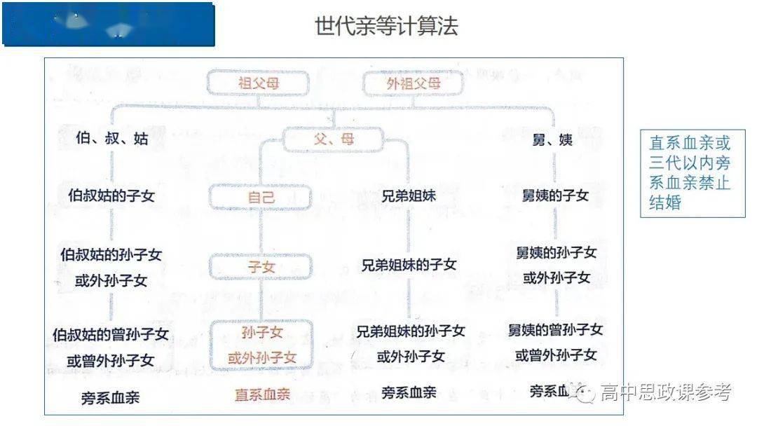 我国亲等计算法示意图图片