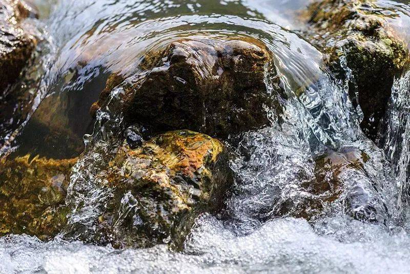 功效|好香！是春天的味道！