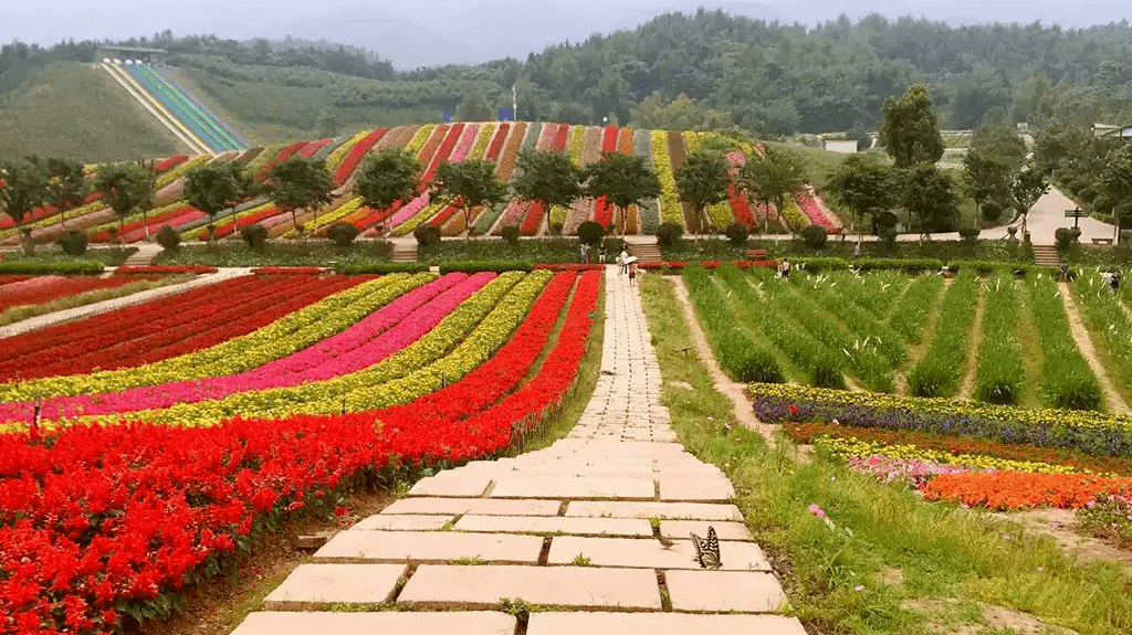 铜梁奇彩梦园景区图片