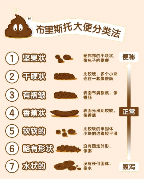 便秘的危害有哪些?