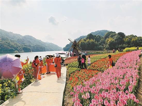 杨滨隆|赏花不远游 更多新“姿势”