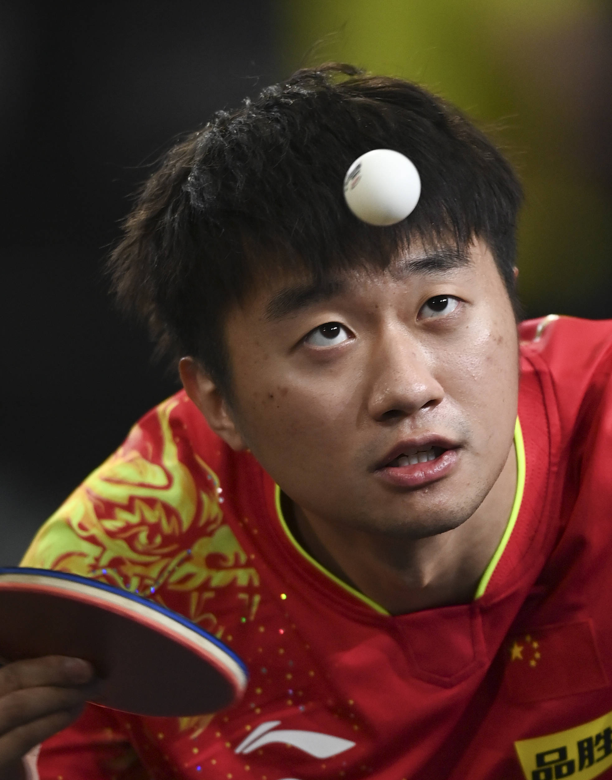 挑战赛|乒乓球——多哈球星挑战赛：赵子豪首轮晋级