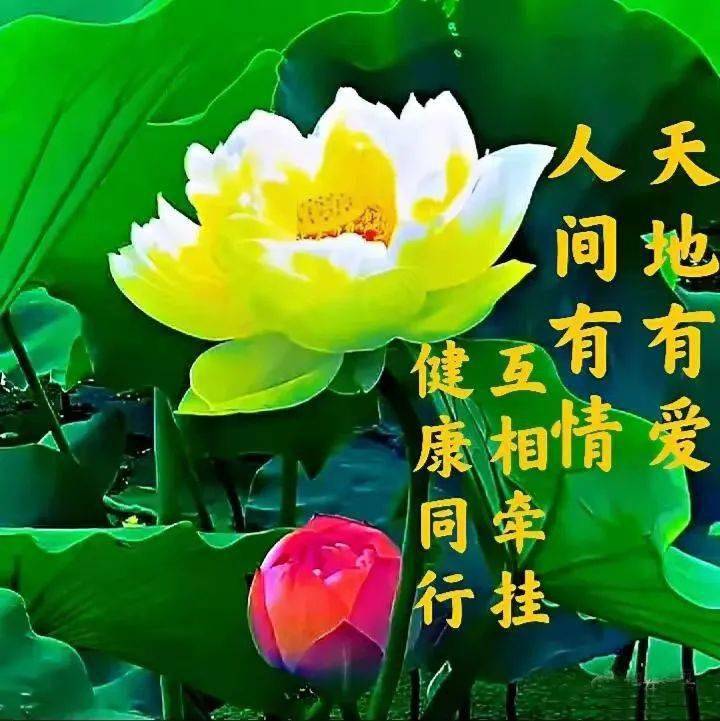 早上好表情包非常时期照顾好自己平安是福