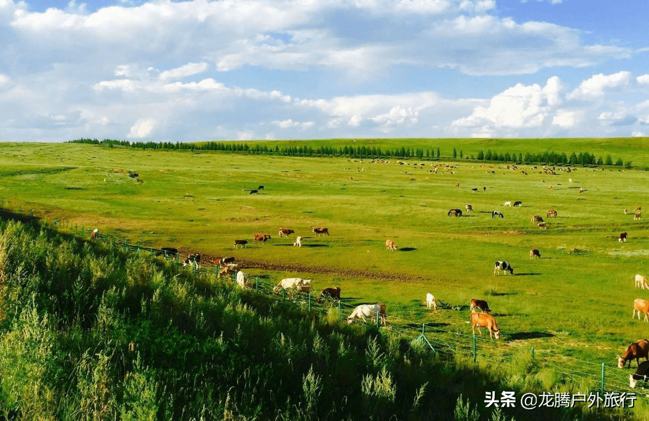 川西北的大草原|摄影|风光摄影|lytoro - 原创作品 - 站酷 (ZCOOL)