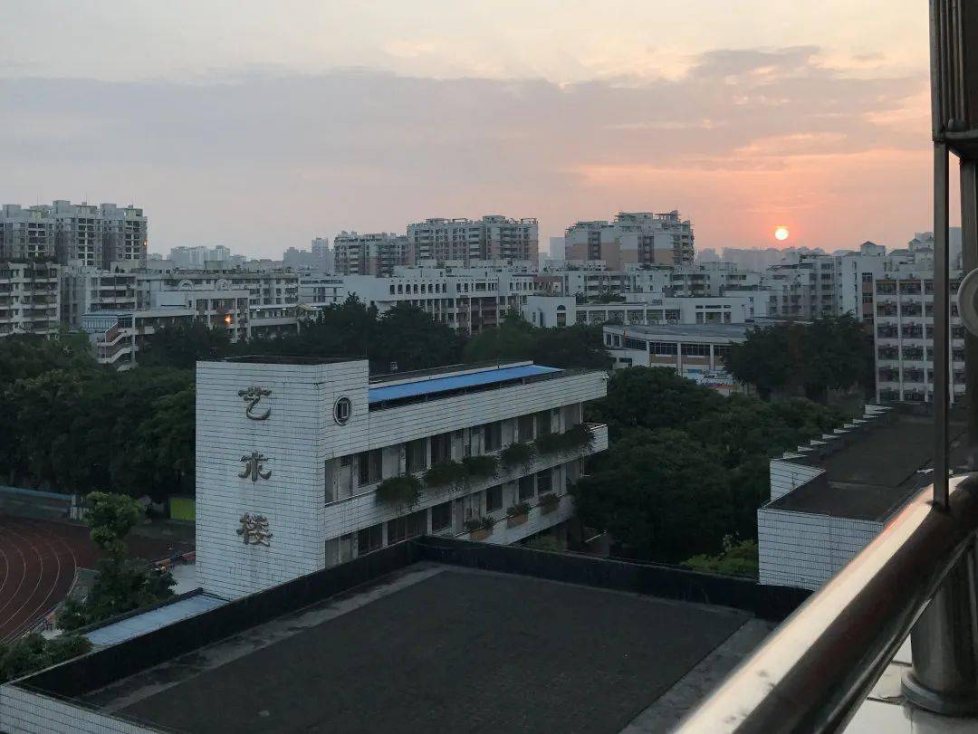 让我感受到母校的温暖,也让我感觉到高中的我已经有了很大的区别