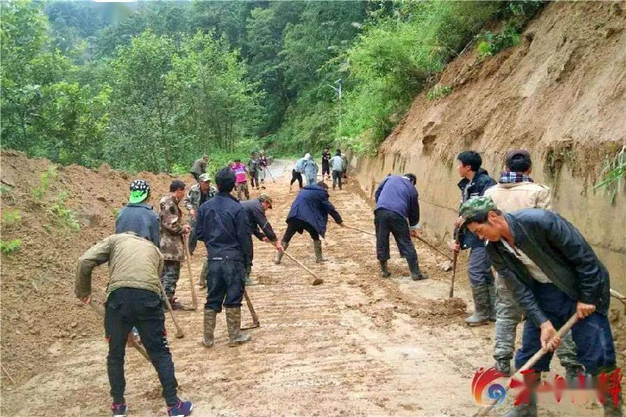 福贡亚坪大山深处草果香