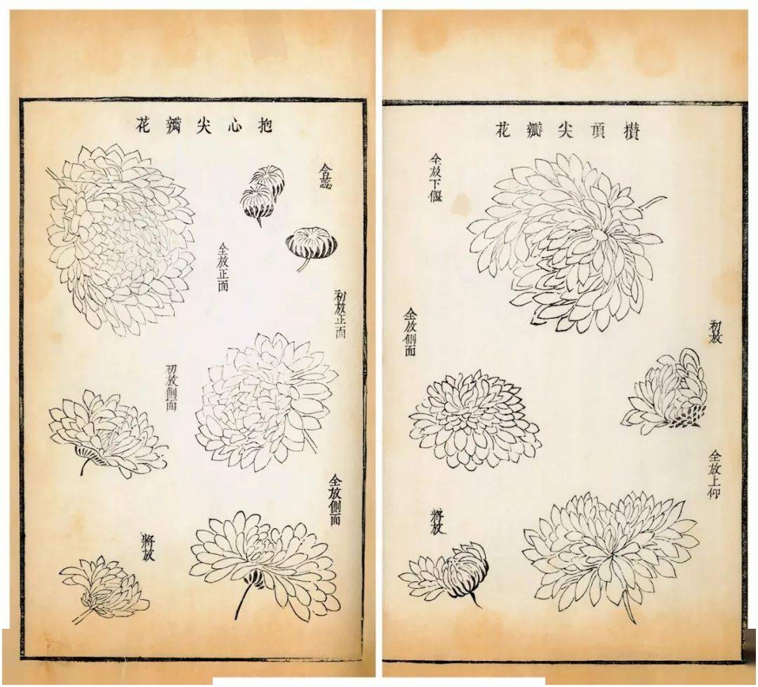 高清欣赏芥子园画谱