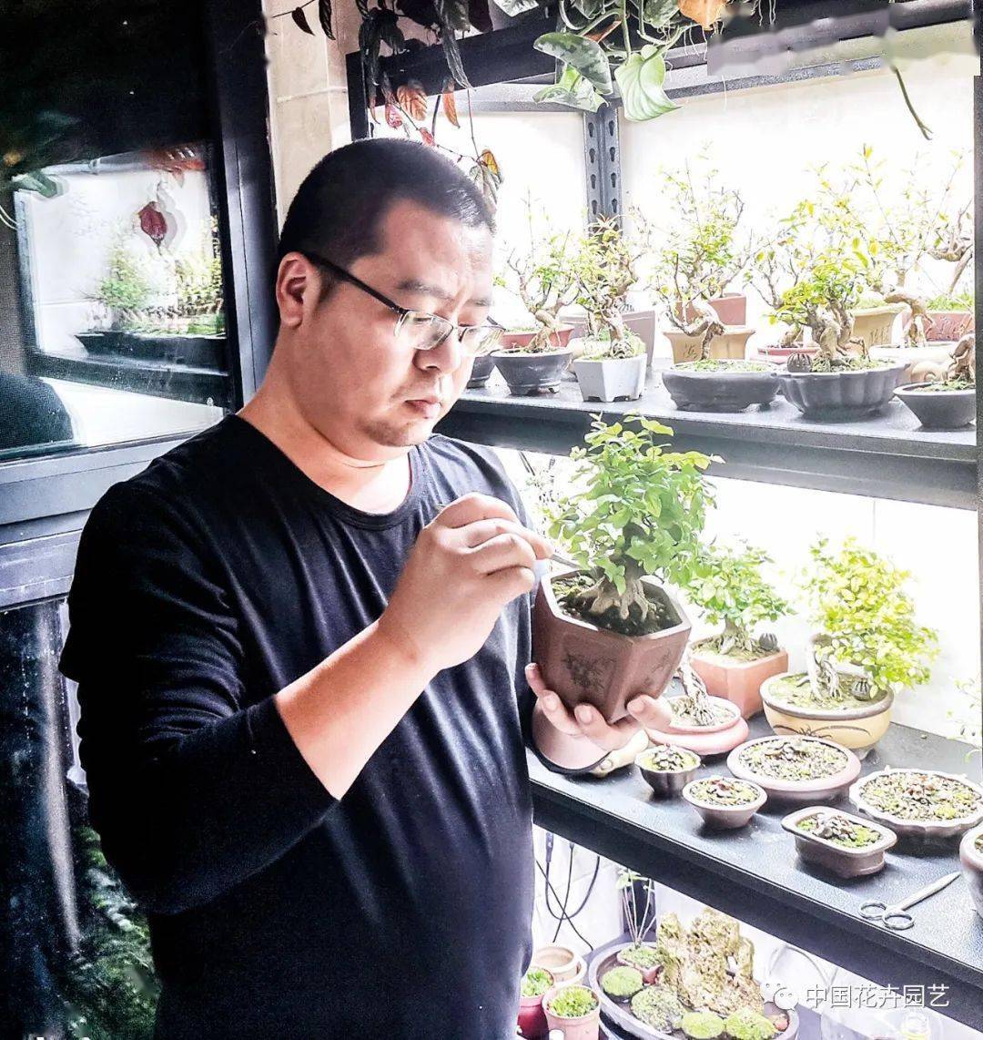 城市花匠自得其乐 爱花爱生活 专题 刘磊 植物 花房