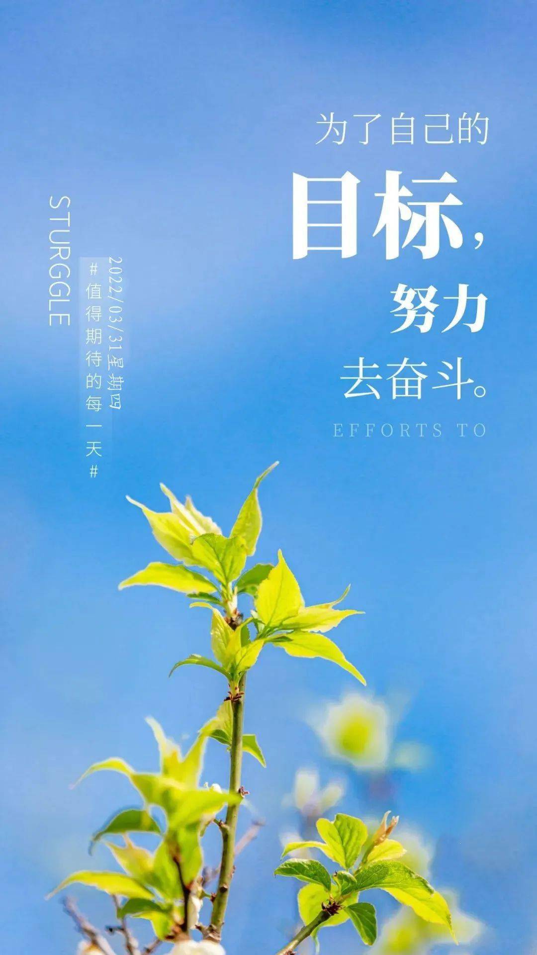 早安哲理正能量經典語錄,正能量唯美漂亮圖片3月最新_夢想_儲蓄_人生