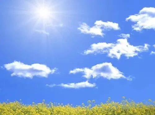 小辽说天气日暖风和岁月静好草木蔓发春山可望