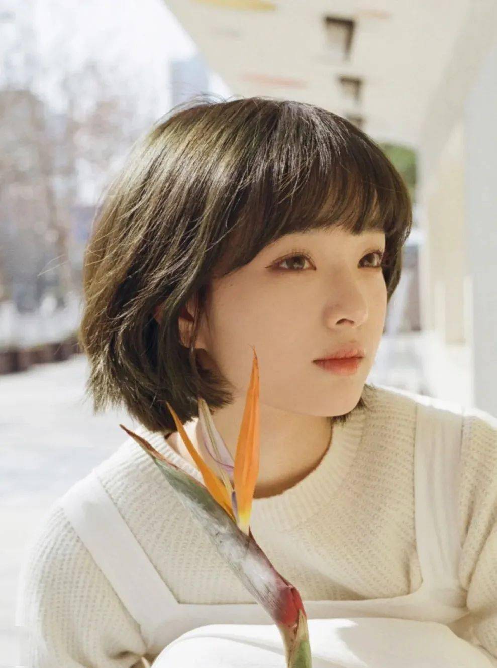 日系车厘子短发