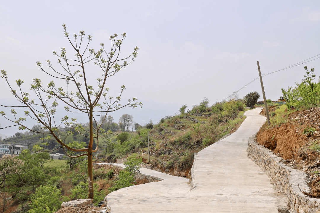 疏通乡村治理毛细血管安顺市关岭新铺镇探索议事小组机制推进基层