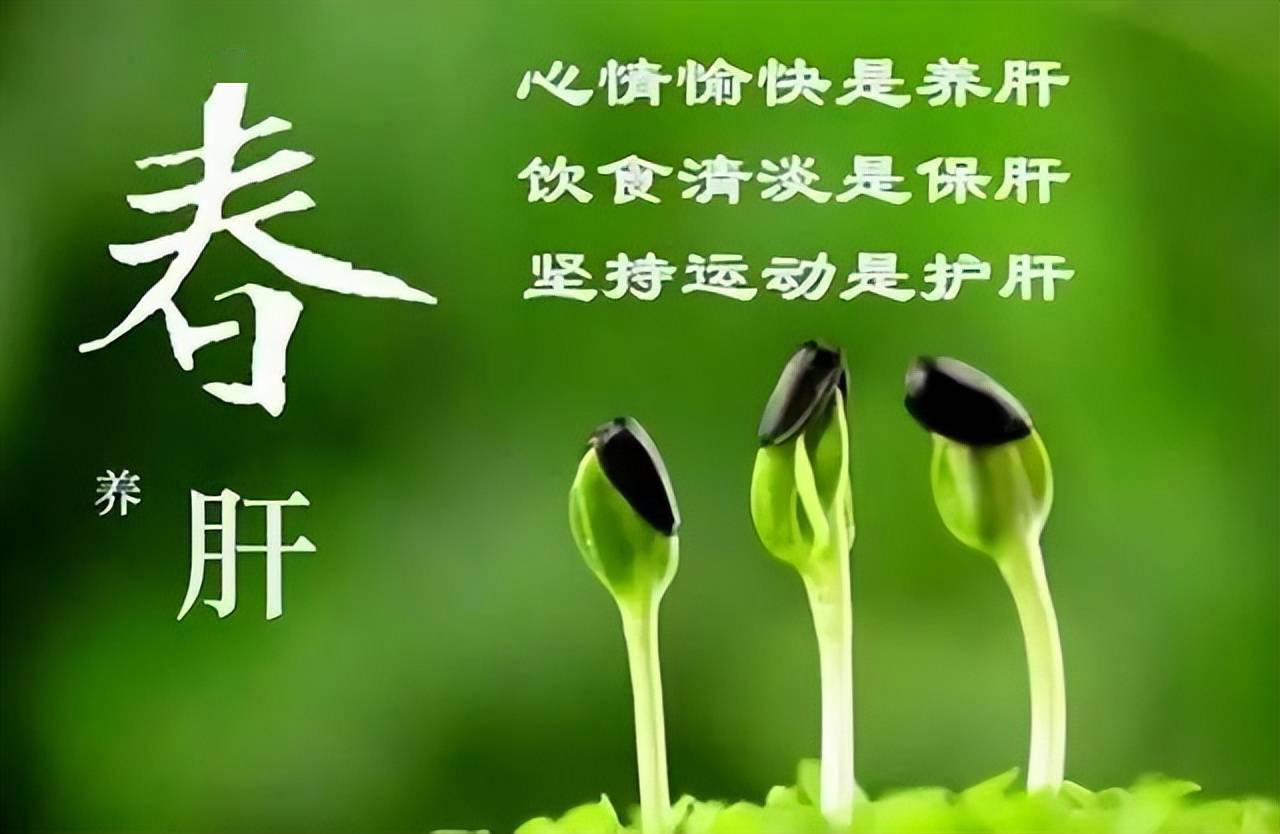 春季是养肝黄金期三甜伤肝要少吃二苦养肝宜多吃