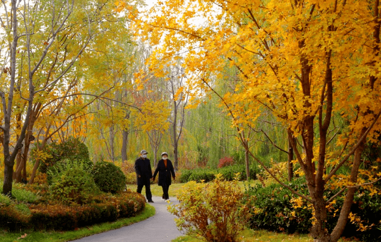 赵州美景——自强公园_摄影_素蕊_薛亮姚
