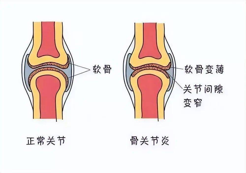 这些服用禁忌要知道