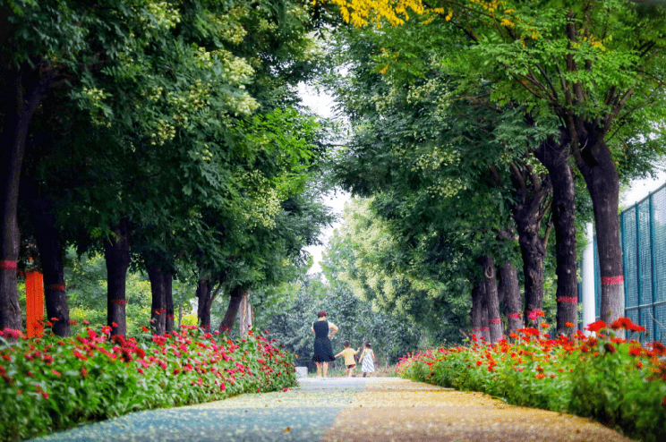 赵州美景——自强公园_摄影_素蕊_薛亮姚