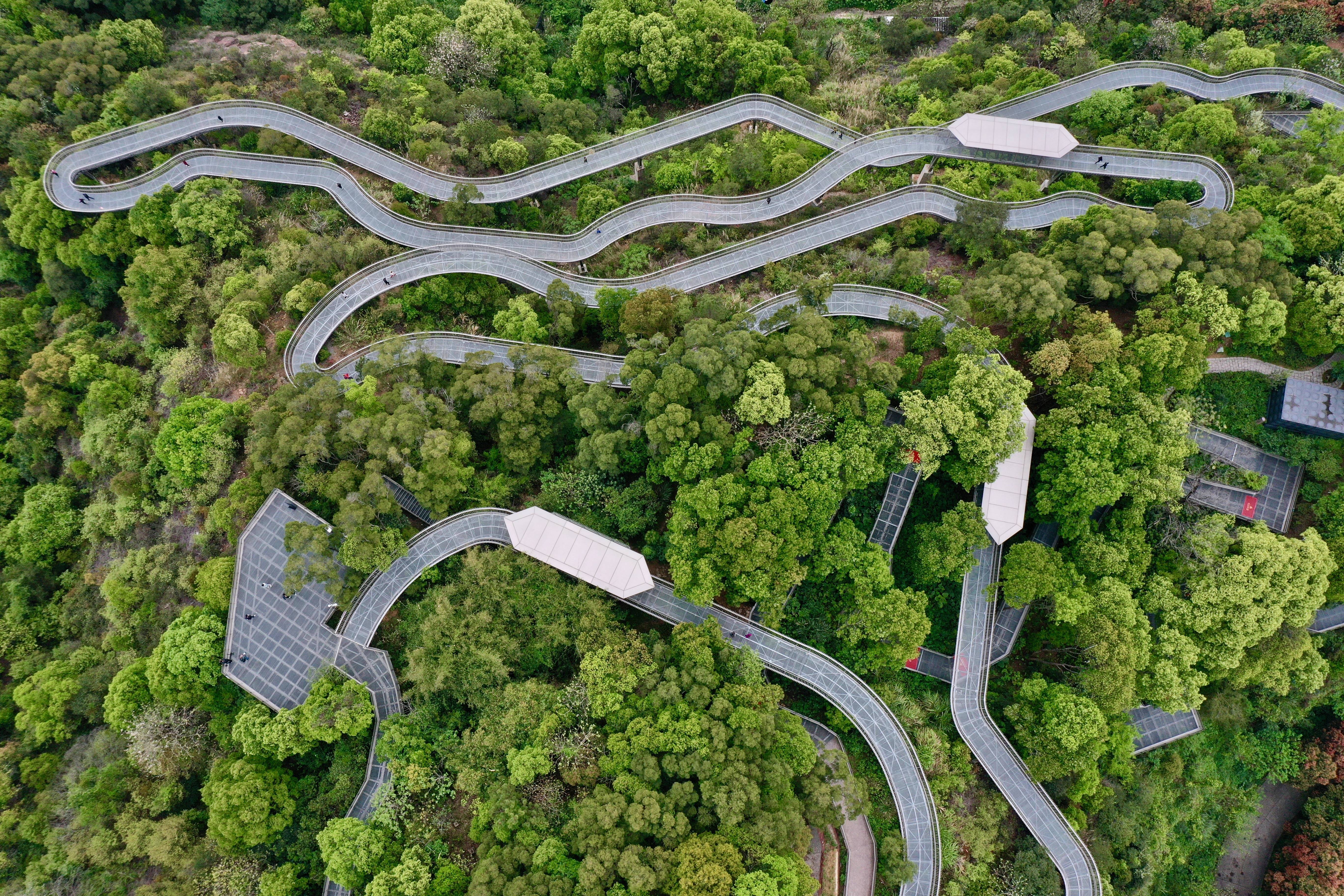 福州森林步道图片