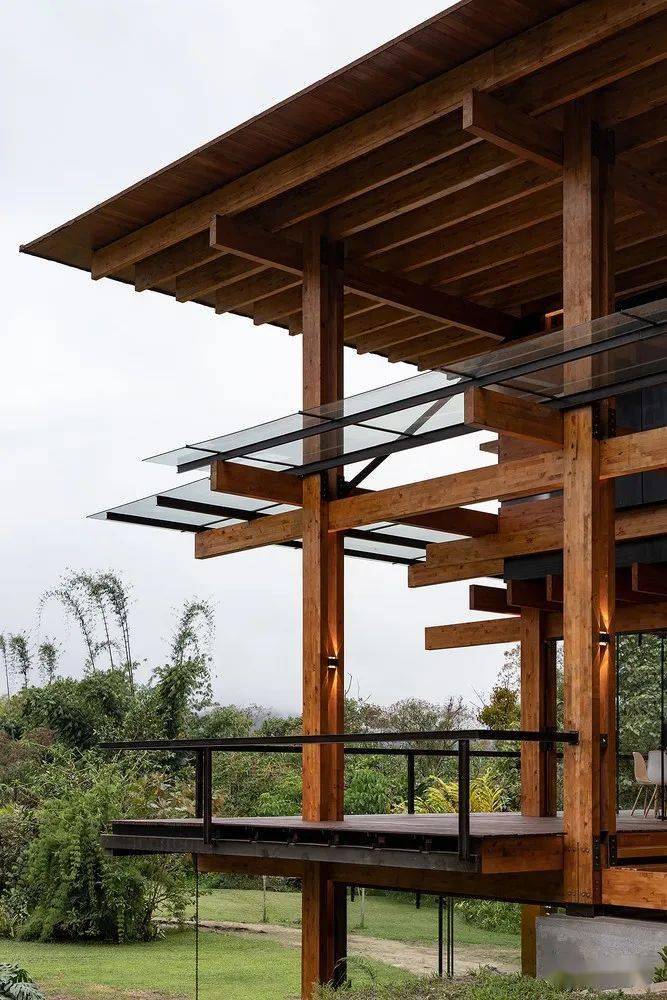 与自然共存,如植物般生长的多能木构住宅